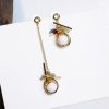 Pendant Tassel Earrings