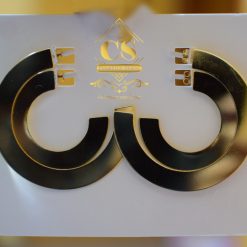 Big Circle Cut Earrings